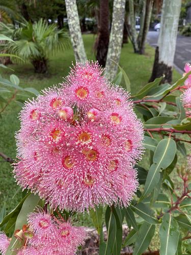 Bayside Gardens
